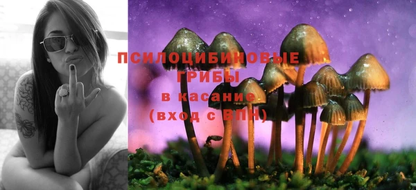 соль ск Алексин