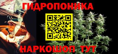 мдма Кингисепп