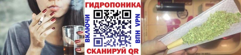 Бошки Шишки White Widow  даркнет какой сайт  Тула 